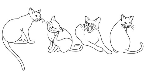 doodle Cat poses. Cartoon red fat striped cats emotions and behavior. Animal pet kitten playful, sleeping and scared. Cat body language vector set. Illustration pet cat, cute striped animal kitten