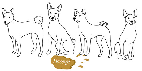 doodle style hand drawn, Cute cool basenji puppy set. Collection of flat dog in various poses and actions. Vector illustration of domestic pet behavior