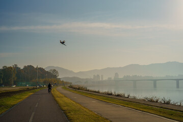 A clear day with a pale fog, a river with a mountain that looks like a distant leg, and a flying magpie.