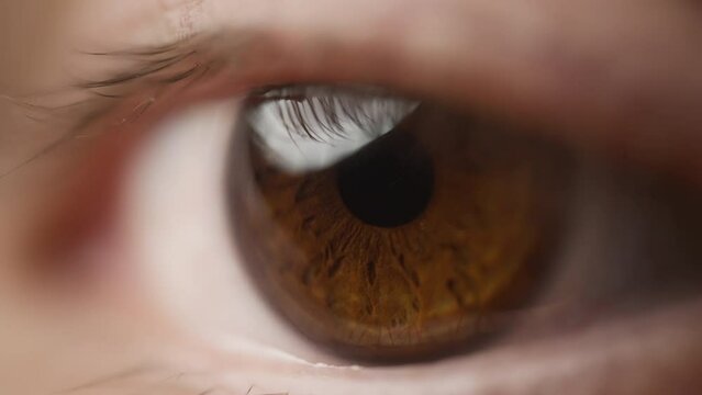 Side view of a brown eye opening. Slow motion. Shallow depth of field. 