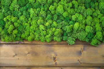 Phytowall made of green decorative moss. Interior decoration on the wooden wall as a natural eco...