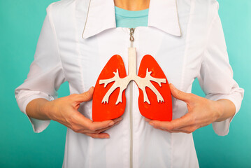Woman doctor holding lungs model in hand on blue background