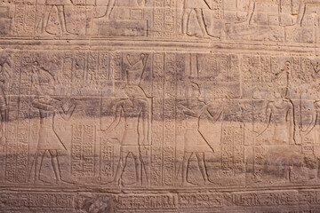 Ancient egyptian carvings and hieroglyphs at Philae temple in Aswan, Egypt 