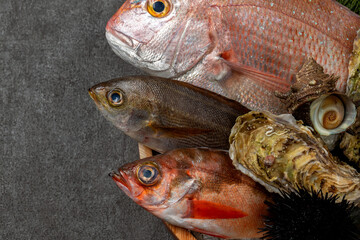 魚介の盛り合わせ