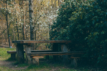 Fototapeta na wymiar wooden table with benches in the forest