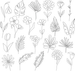 One line continuous boho plants set, single line drawing art, leaves art, botanical flowers isolated, simple art design, abstract line, vector