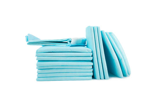 dog diaper, pet absorbent napkin isolated