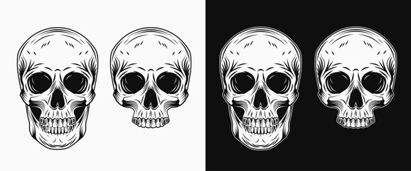 Human skull in vintage style. Whole skull, half skull without jaw. Front view. Balck and white illustration