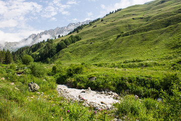 Fototapeta na wymiar Mountain river Terskol with rocky banks and in a valley from a hill and with green grass in the Elbrus region in the North Caucasus and copy space