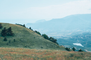 Fototapeta premium The top of the mountain, covered with greenery.