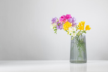   freesia flowers  in glass modern vase on white background