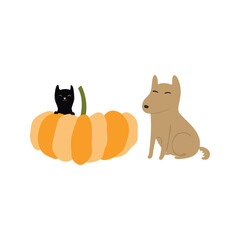 Cute cat with a pumpkin, dog cartoon characters illustration. Hand drawn style flat design, isolated vector. Summer, autumn print element, farming, gardening, harvest festival, domestic animals, pets
