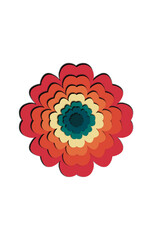 flower isolated on white