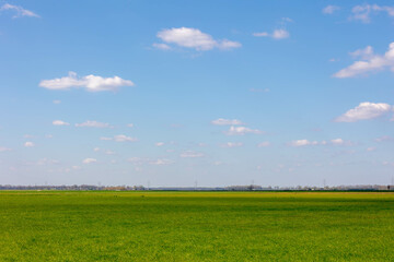 Spring landscape with flat and low land under blue sky and white cloud as background, Typical Dutch polder with green meadow and farm, Small villages in countryside of Drenthe province, Netherlands.