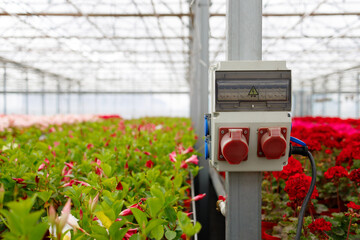 Electrical panel with a socket and circuit breaker in a greenhouse against the background of flowers