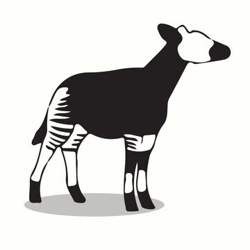 Okapi silhouettes and icons. Black flat color simple elegant Okapi animal vector and illustration.