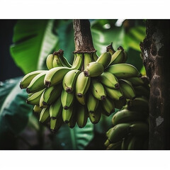 Bananenstaude, AI generiert