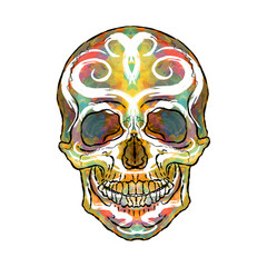 Colored skull with patterns. Element for design	