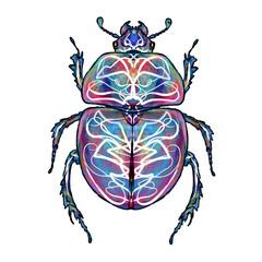 scarab beetle with bright patterns, multi-colored, black torn stroke edge, symmetry, insect	