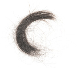 Fototapeta premium Hair bundle isolated on white background. tuft human hair close-up. haircut