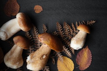 ready to cook boletus mushrooms on dark table surface