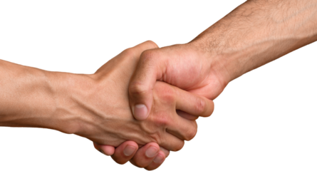 Closeup of Two Men Shaking Hands