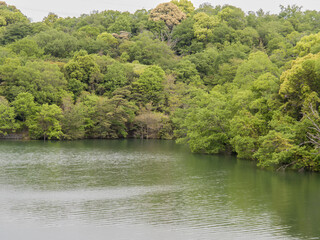 緑が萌える水辺の風景