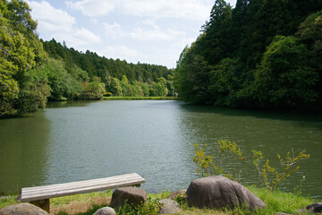 七ツ洞公園の湖