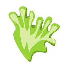 Lettuce leaf. Food. Clipart. Isolated green Lettuce leaf on a white background. Vector illustration.