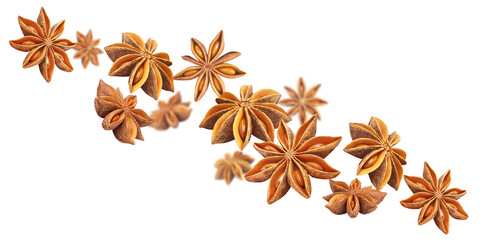 Flying star anise cut out