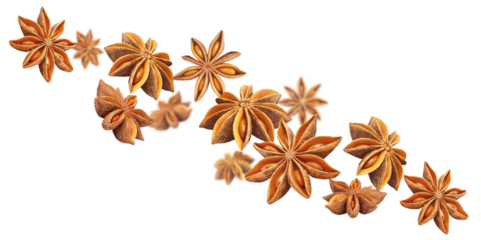Flying star anise cut out