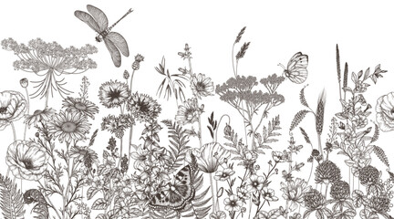 Seamless horizontal pattern of wildflowers and plants. Chamomile, clover, chicory, poppy, cornflower, bells, periwinkle, buttercup, veronica, butterfly, dragonfly in engraving style