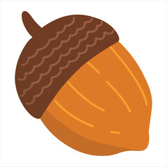 acorn illlustration