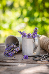 Fresh and violet lavender as a perfume ingredient.