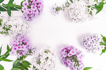 Composition of white and pink phlox as a flowers frame with copy space for wedding or greeting cards
