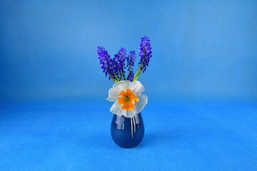 Pretty daffodil and a blue hyacinth in a blue ceramic vase on a blue background. Focused on the center of the daffodil.