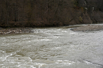 Cattaraugus Creek flowing towards camera, shale cliffs in background. Zoar Valley, Gowanda, New York.