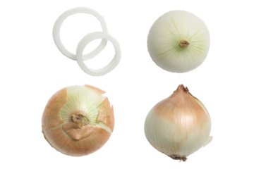 onions set isolated on white or transparent background, cut out
