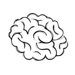 vector brain line