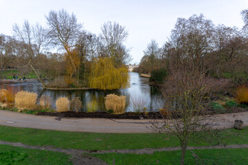 Autumn looking trees in St. James park in the City of London on a cloudy day.