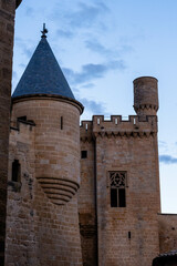 A castle in the city of olite

