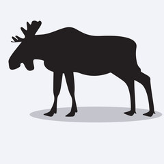 Moose silhouettes and icons. Black flat color simple elegant Moose animal vector and illustration.