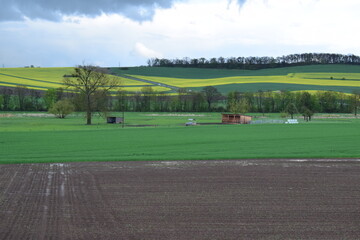 Wet Fields after a Hailstorm