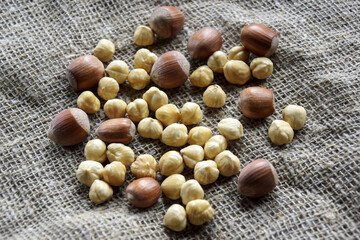 Ripe filbert kernels and hazelnuts in a shell on burlap background. Healthy nutrition. Close-up. Copy space. Shallow depth of field. Selective focus.