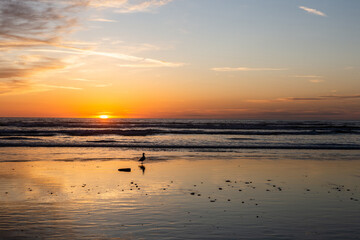 A view on the Pacific ocean shore at sunset