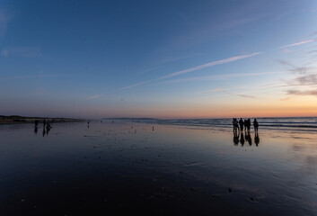 A view on the Pacific ocean shore at sunset