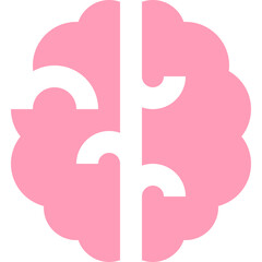brain flat icon