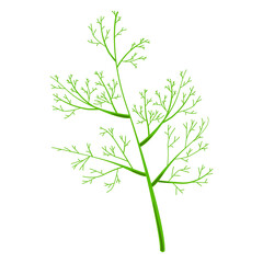 Dill sprig isolated on white vector image on white background. Food. Clipart.