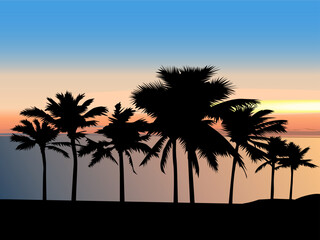 Fototapeta na wymiar color vector illustration depicting the silhouette of a beach with palm trees against the background of the evening sky and the sea for the design of postcards, banners and interiors