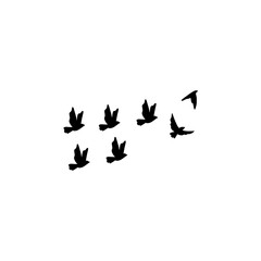 Naklejka na ściany i meble Vector silhouette flying birds